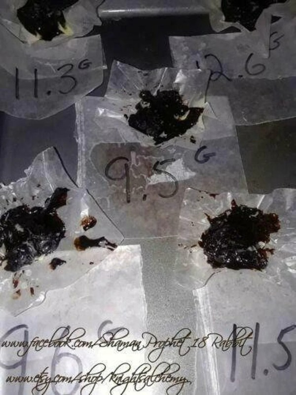 Wild Lettuce Extract Resin , Lactuca Virosa 3 Grams Fresh Homegrown organic gallery