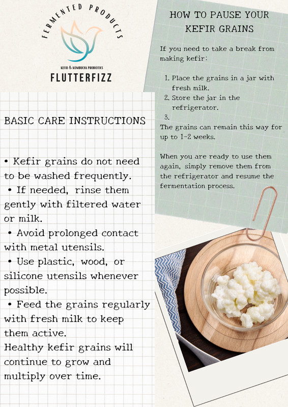 4 oz Kefir Milk, Probiotic Fermented Starter Kit gallery