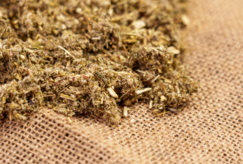 Wormwood Herb or Powder | Organic Natural Herb | 1/4/8oz | Digestion Cleanse Aid gallery
