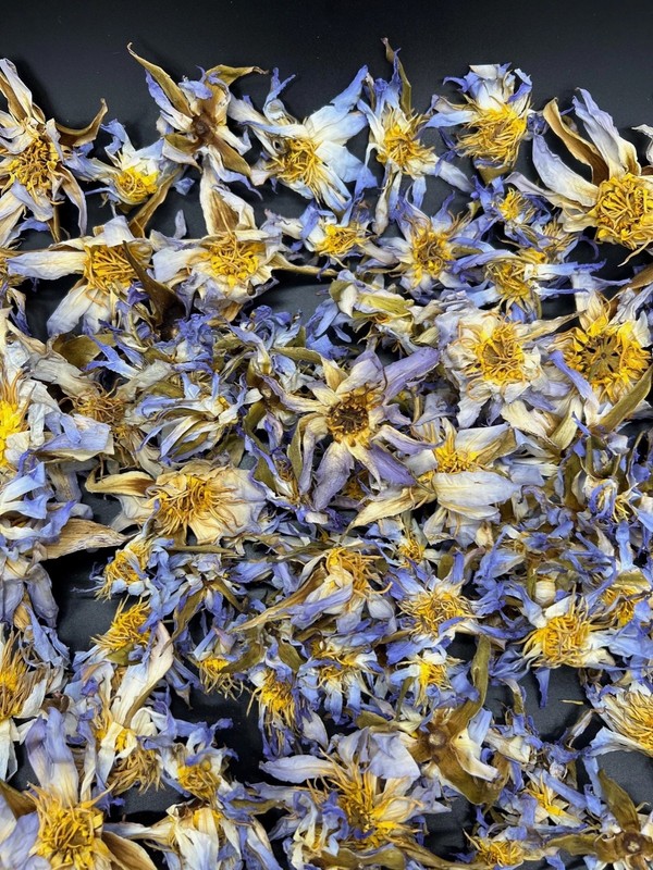 Egyptian Blue Lotus | Nymphaea Caerulea | Dried Whole Flowers
