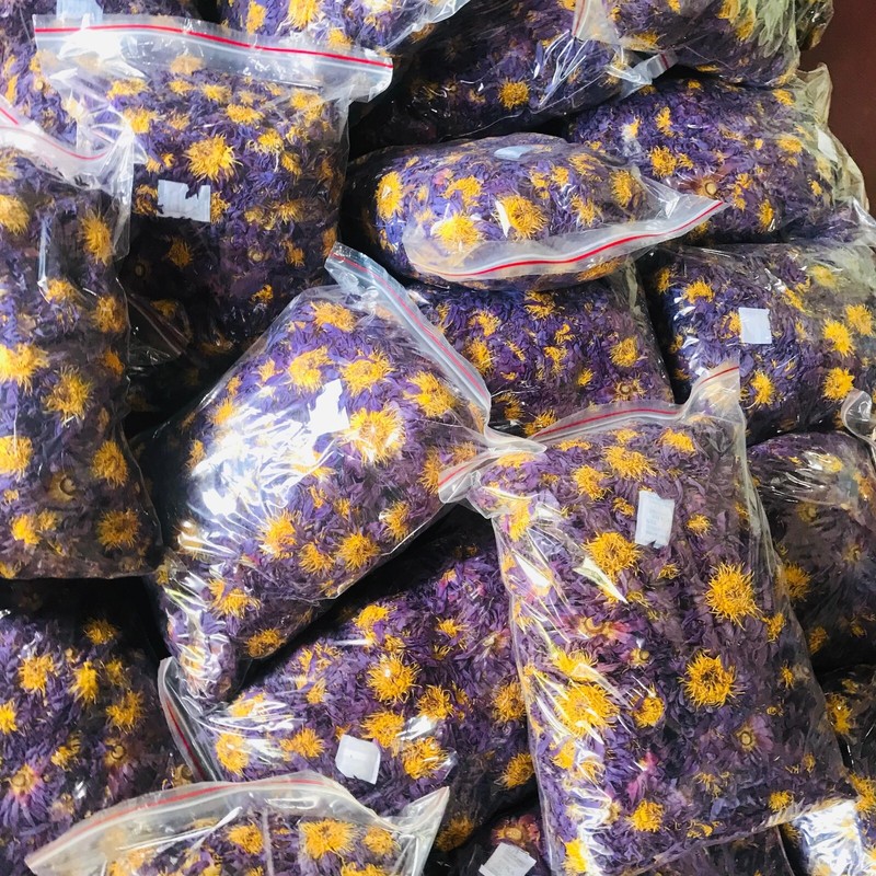 Ceylon Dried Blue Lotus Nymphaea Caerulea 100% Organic Herbal Hand Picked Flower gallery