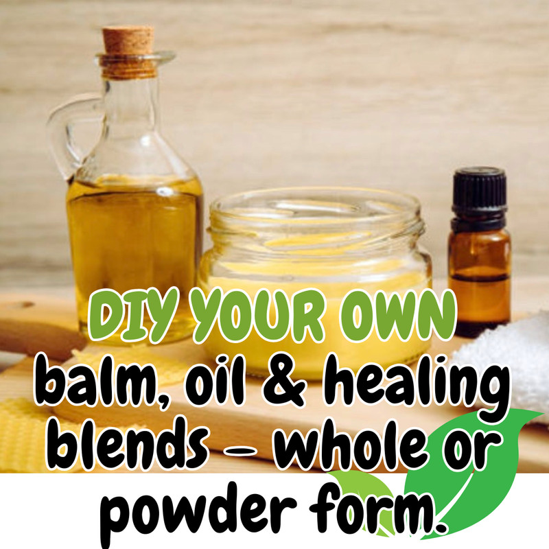 Wormwood Herb or Powder | Organic Natural Herb | 1/4/8oz | Digestion Cleanse Aid gallery
