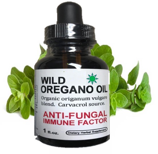 Oil of Oregano 1oz WILD NON GMO High Carvacrol USA