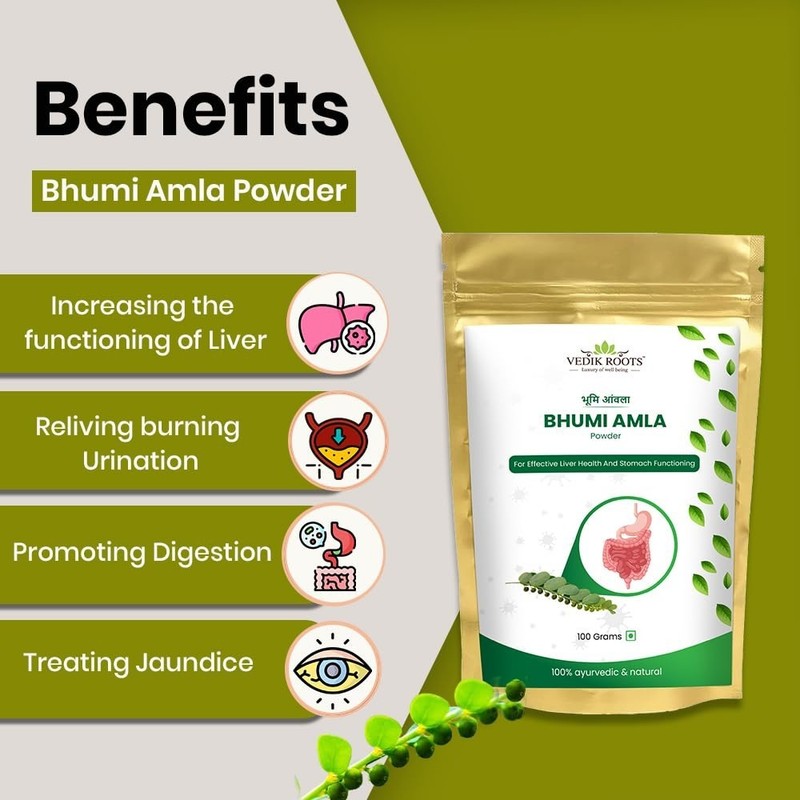 Bhumi Amla Powder Churn Organic And Pure 100 gm F/Ship gallery