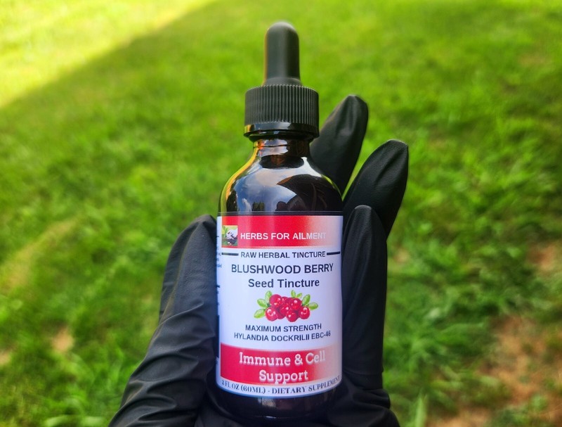 Blushwood Berry EBC46 Tincture/Immune Support/Oral/Topical/from US seller gallery