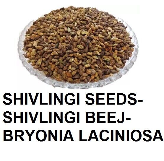 SHIVLINGI SEEDS-SHIVLINGI BEEJ-BRYONIA LACINIOSA WHOLE SEEDS INDIAN HERBS