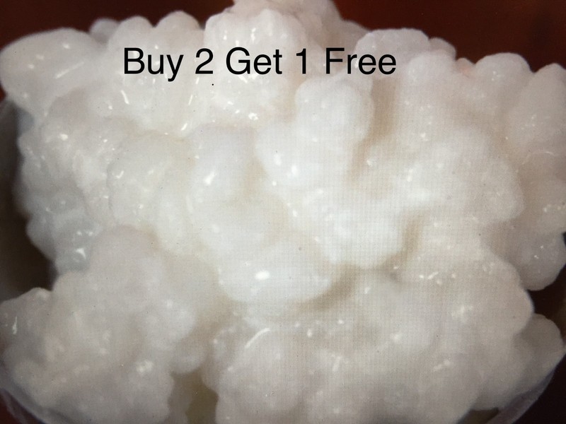 Organic Kefir Grains Starter from Local Organic Milk 1 Tsp Buy2 Get1 Free