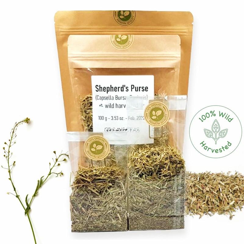Organic SHEPHERDS PURSE Herb Cut Wild Harvest Capsella Bursa-Pastoris Herbal Tea gallery