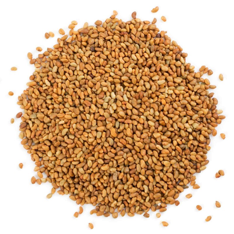 Organic Alfalfa Seeds for Sprouting – Non-GMO, Sproutable – by Food To Live