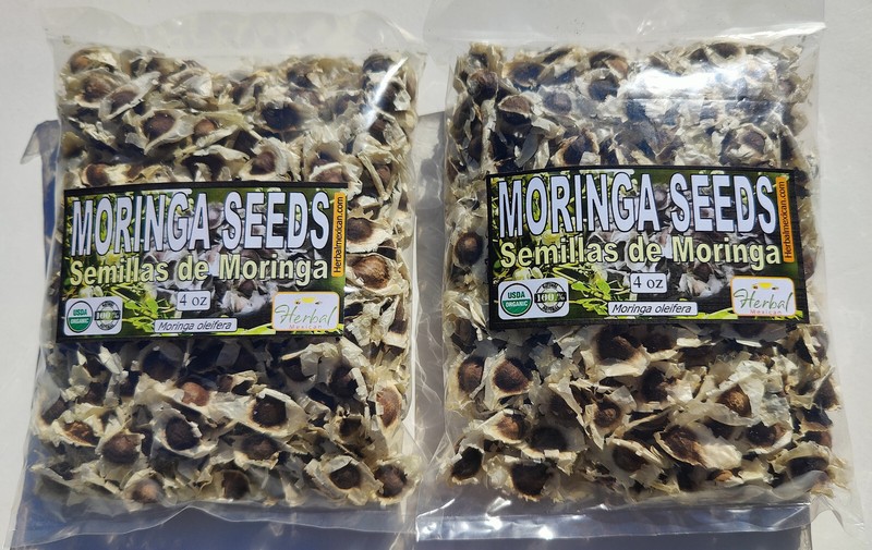 Semillas de Moringa, Moringa Seeds, Moringa oleifera Seeds, Organic moringa Seed gallery